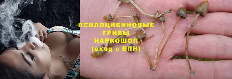 Галлюциногенные грибы Magic Shrooms  omg как зайти  Лихославль 